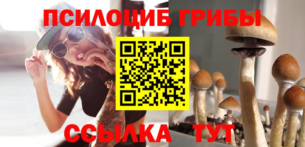 Галлюциногенные грибы MAGIC MUSHROOMS  где купить наркотик  Вход с VPN  Тында  Галлюциногенные грибы Psilocybine cubensis 