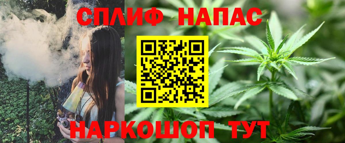Тында  Каннабис планчик  Каннабис сатива  Канабис семена  Вход с VPN 